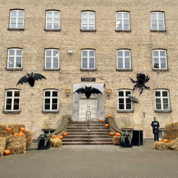 6 Uhyggeligt fede facts om DKBS